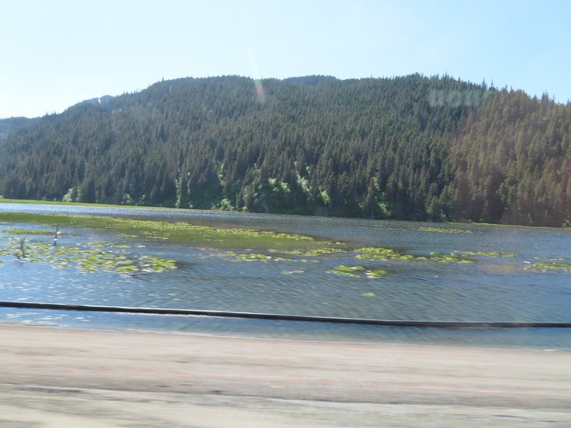 akbusimg_2351.jpg
