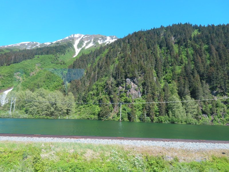 akbusimg_2368.jpg