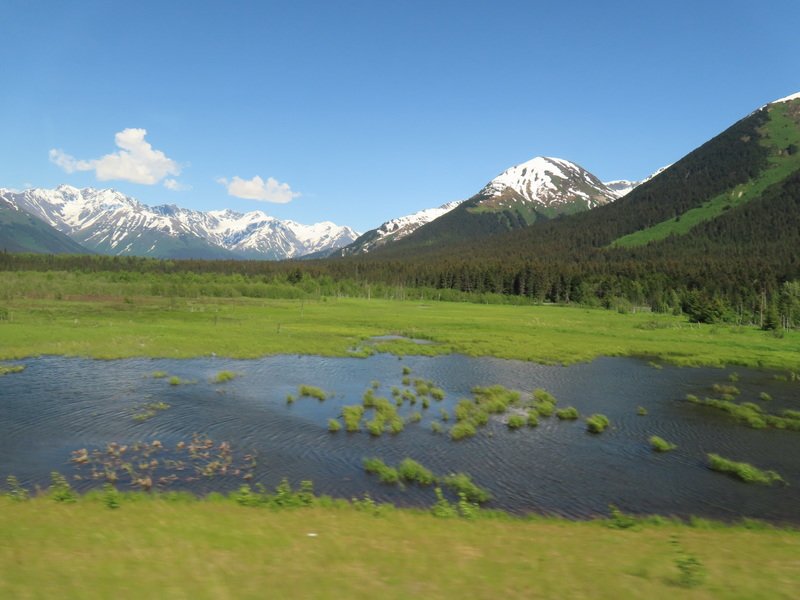 akbusimg_2382.jpg