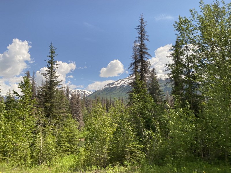 akbusimg_8659.jpg