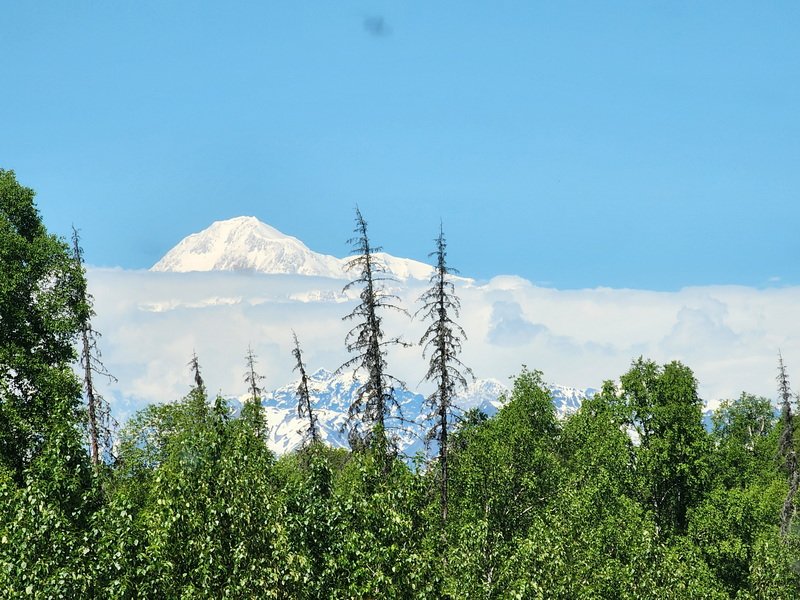 akbus20240616_134009.jpg