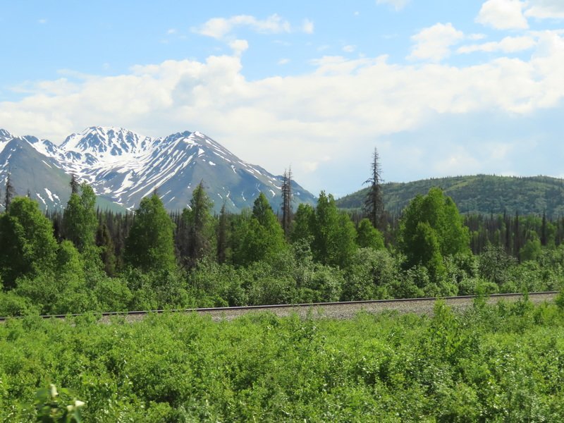 akbusimg_2555.jpg