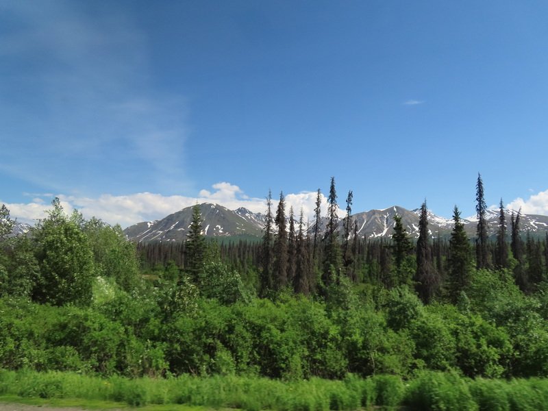 akbusimg_2600.jpg