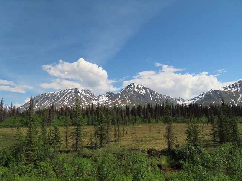 akbusimg_2622.jpg