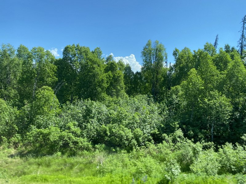 akbusimg_8809.jpg