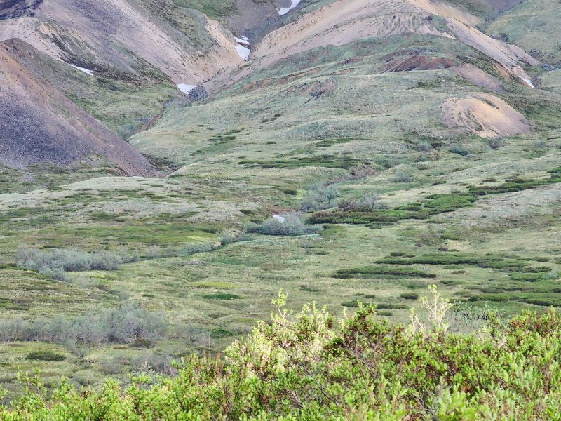 akbus20240617_101948.jpg