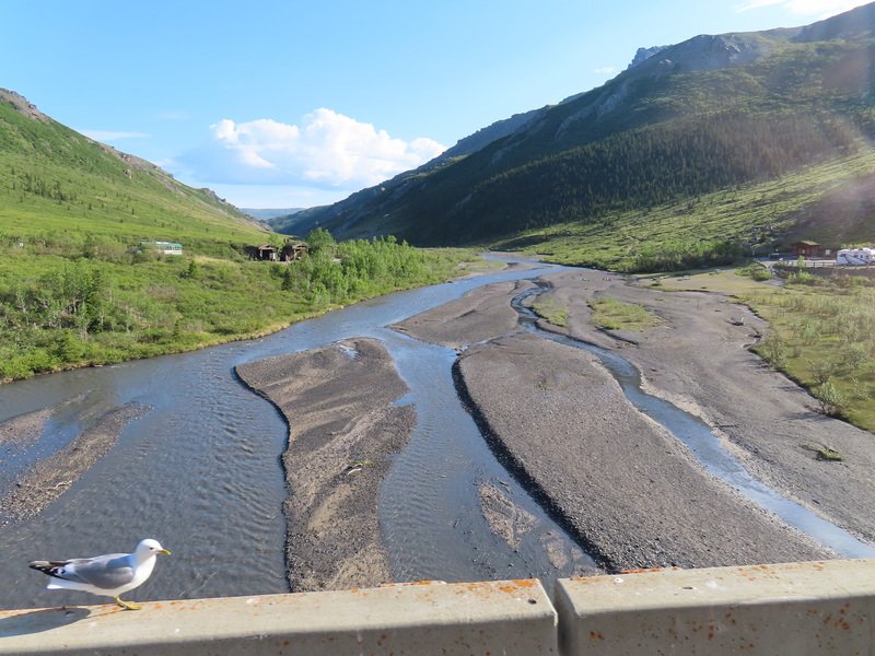 akbusimg_2900.jpg