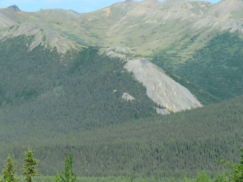 akbusimg_2969.jpg
