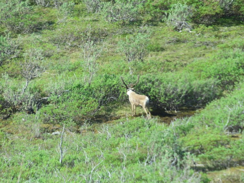 akbusimg_3095.jpg