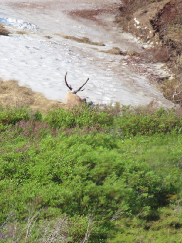 akbusimg_3110.jpg