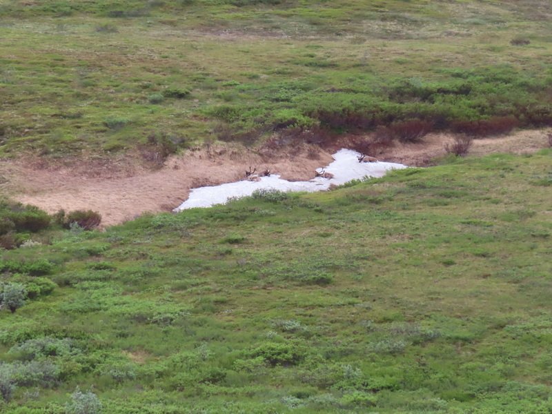 akbusimg_3148.jpg