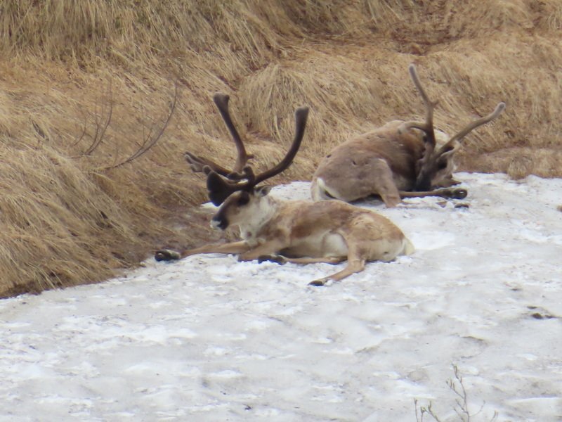 akbusimg_3158.jpg