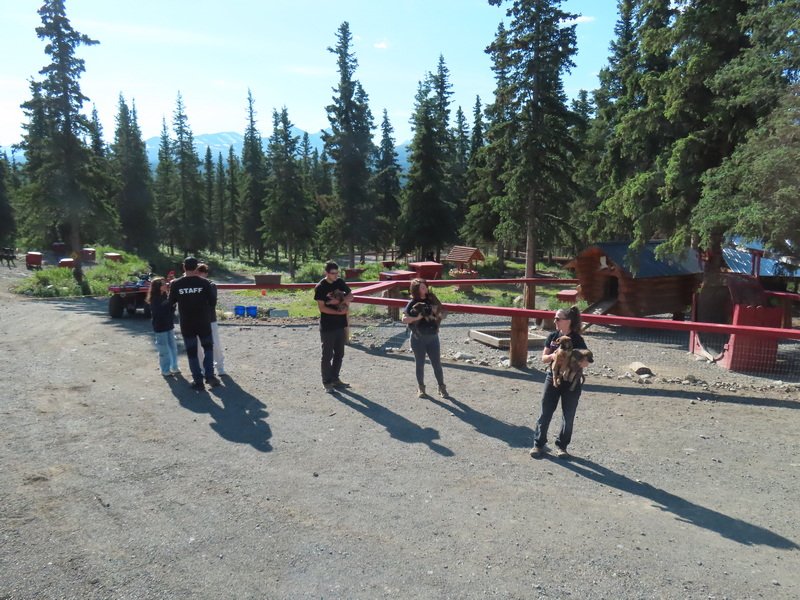 akbusimg_3304.jpg