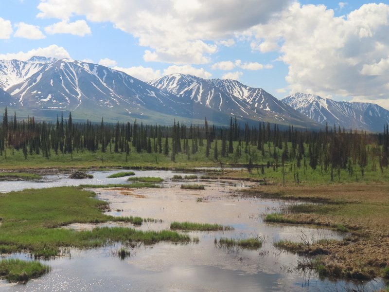 akbusimg_3375.jpg