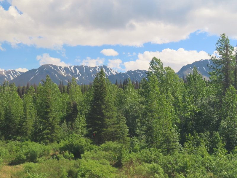 akbusimg_3425.jpg
