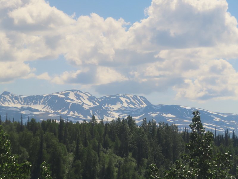akbusimg_3458.jpg