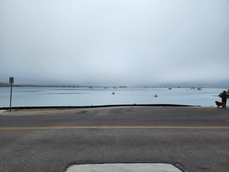 bcentcoast20240802_100042.jpg