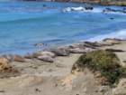 bcentcoastimg_3493_small.jpg
