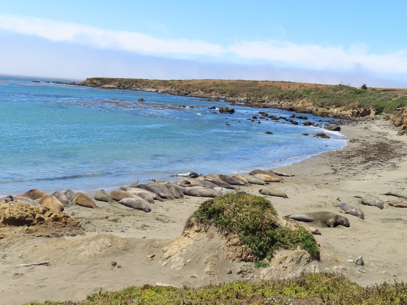 bcentcoastimg_3499.jpg