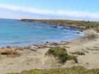 bcentcoastimg_3499_small.jpg