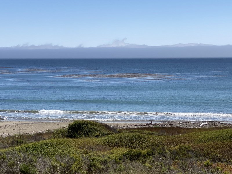 bcentcoastimg_9769.jpg