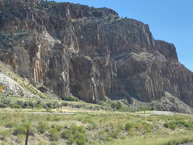 tripebcbimg_0190.jpg