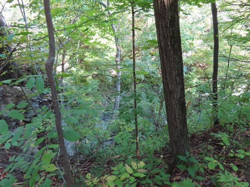 nboundnicbimg_3604.jpg