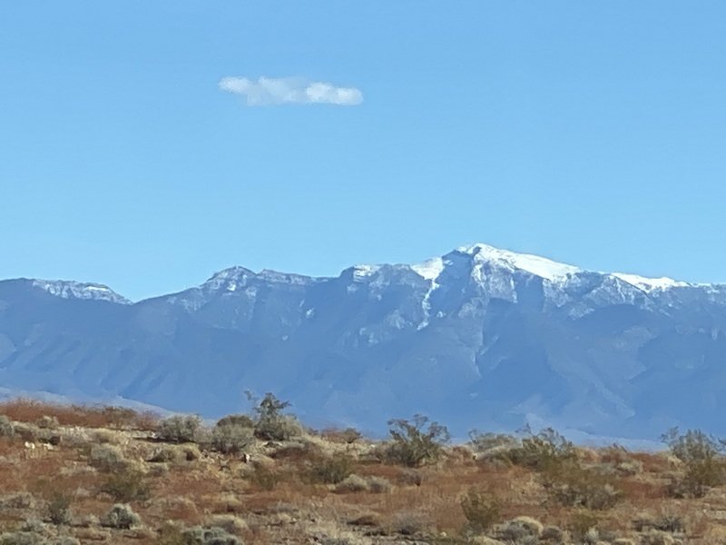 havasuimg_3853.jpg