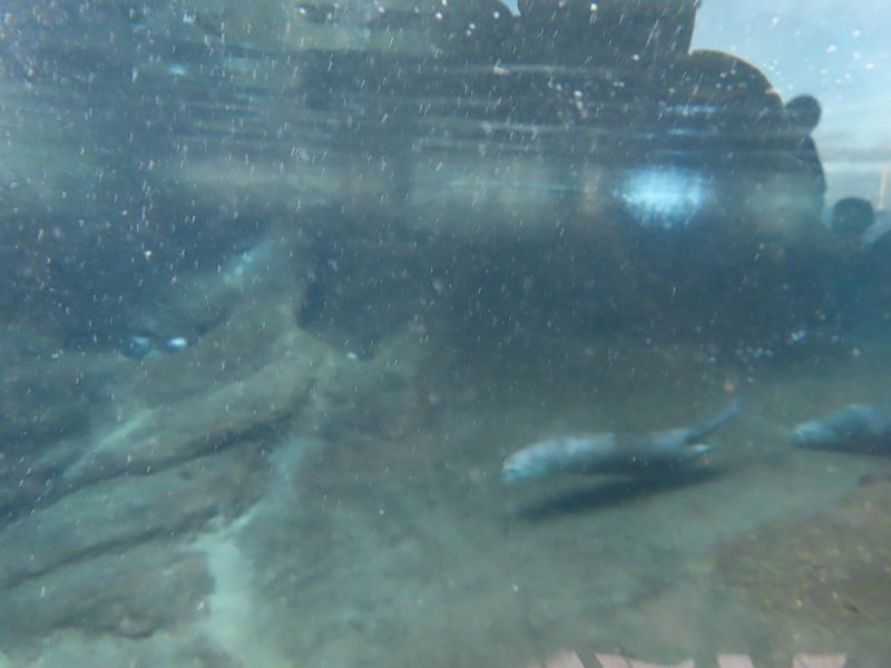 gcbimg_5687.jpg
