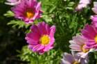 img_0038_small.jpg