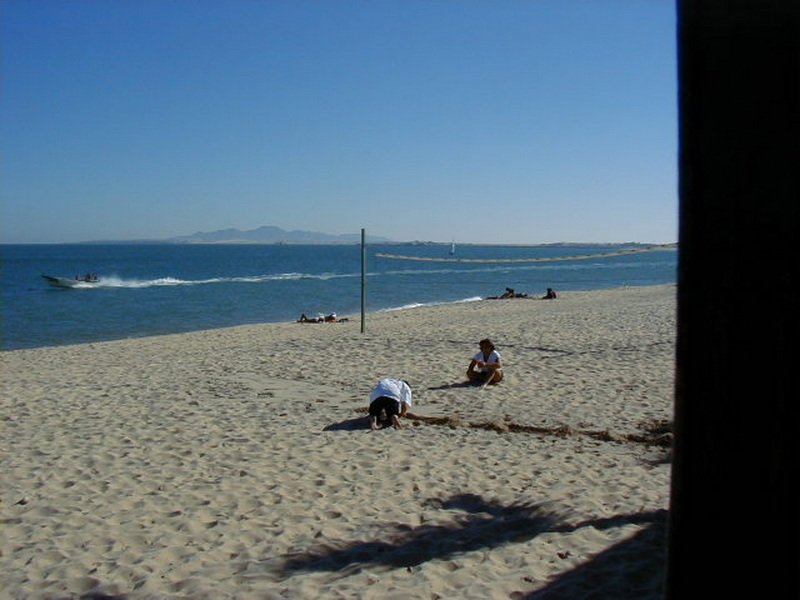 pb250115.jpg