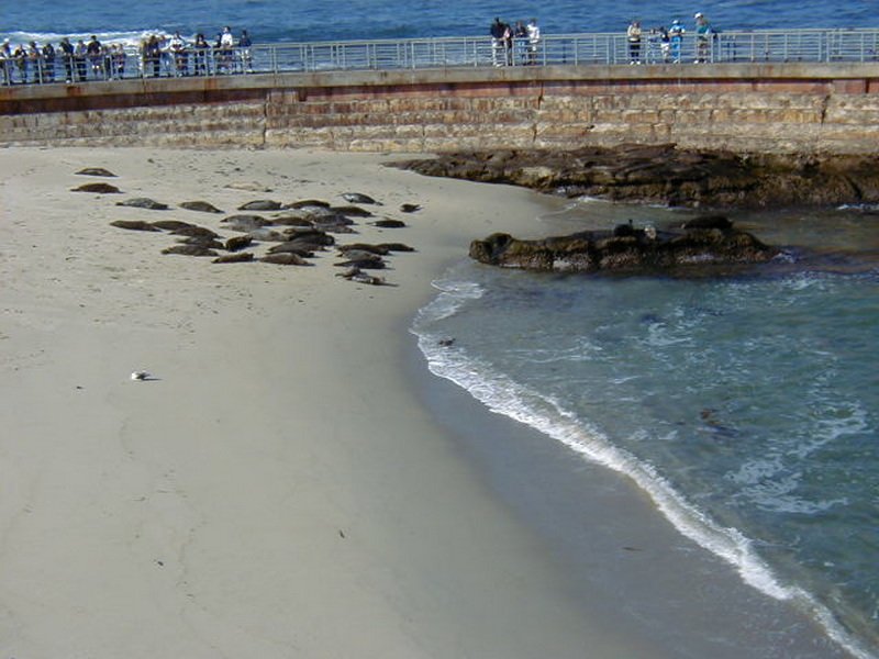 pb260124.jpg