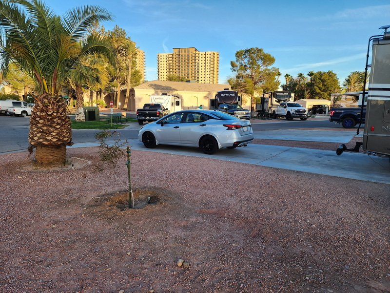 ctjbs20250316_181548.jpg