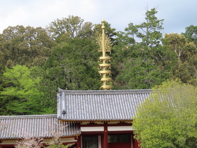 cbimg_5808.jpg