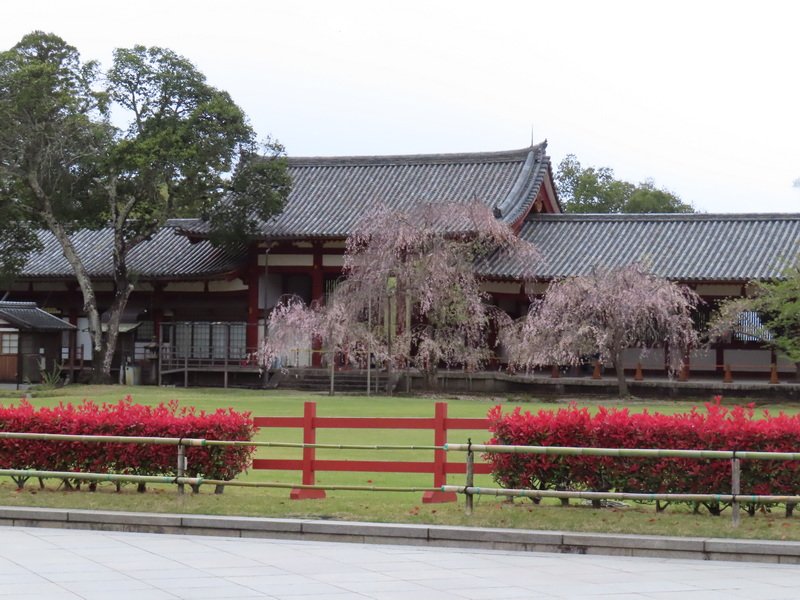 cbimg_5843.jpg