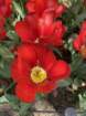 cbimg_7055_small.jpg