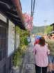 tj20250419_100019_small.jpg