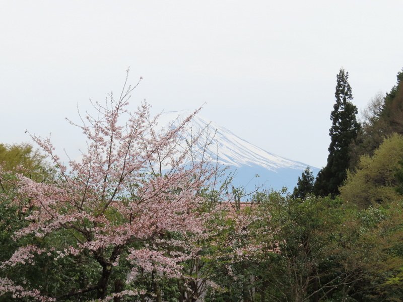 cbimg_6310.jpg