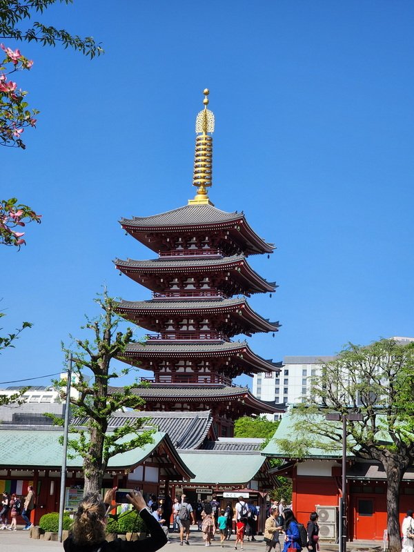 tj20250421_091819.jpg