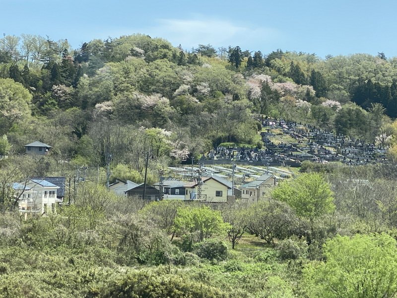 cbimg_7724.jpg