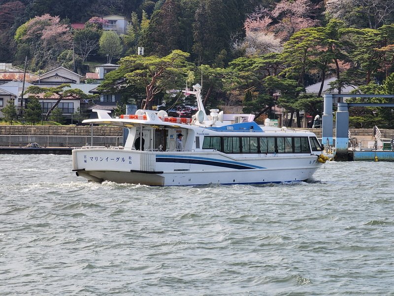 tj20250422_143035.jpg
