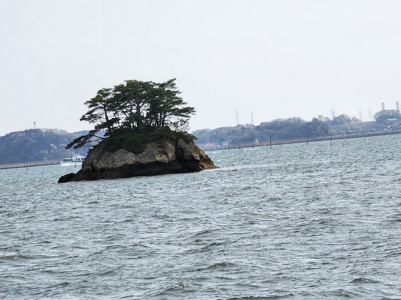tj20250422_143409.jpg