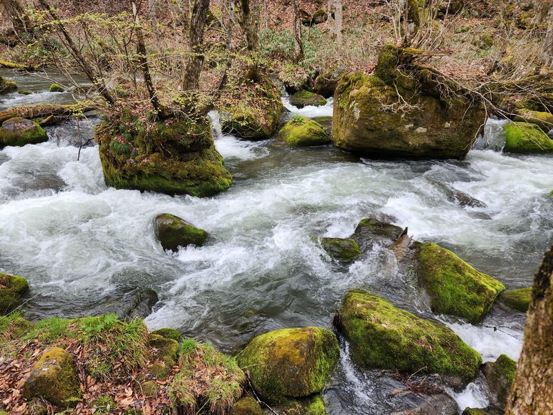 tj20250424_100710.jpg