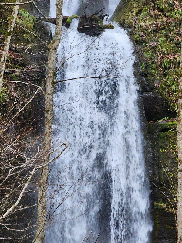 tj20250424_103522.jpg
