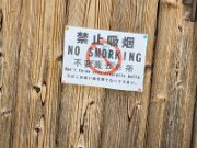 15-TJ-20250415_112812