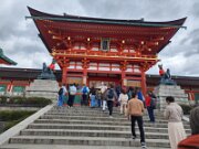 15-TJ-20250415_113705