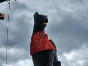 15-TJ-20250415_113744