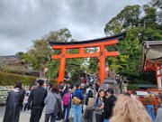 15-TJ-20250415_114153