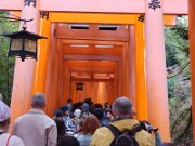 15-TJ-20250415_114530