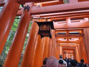 15-TJ-20250415_114612